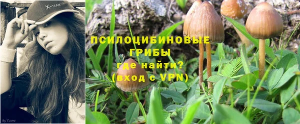 ECSTASY Абаза