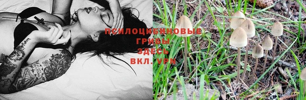 apvp Абдулино