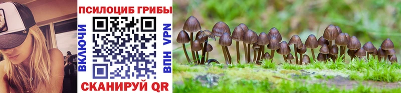 Галлюциногенные грибы MAGIC MUSHROOMS  Ясный 